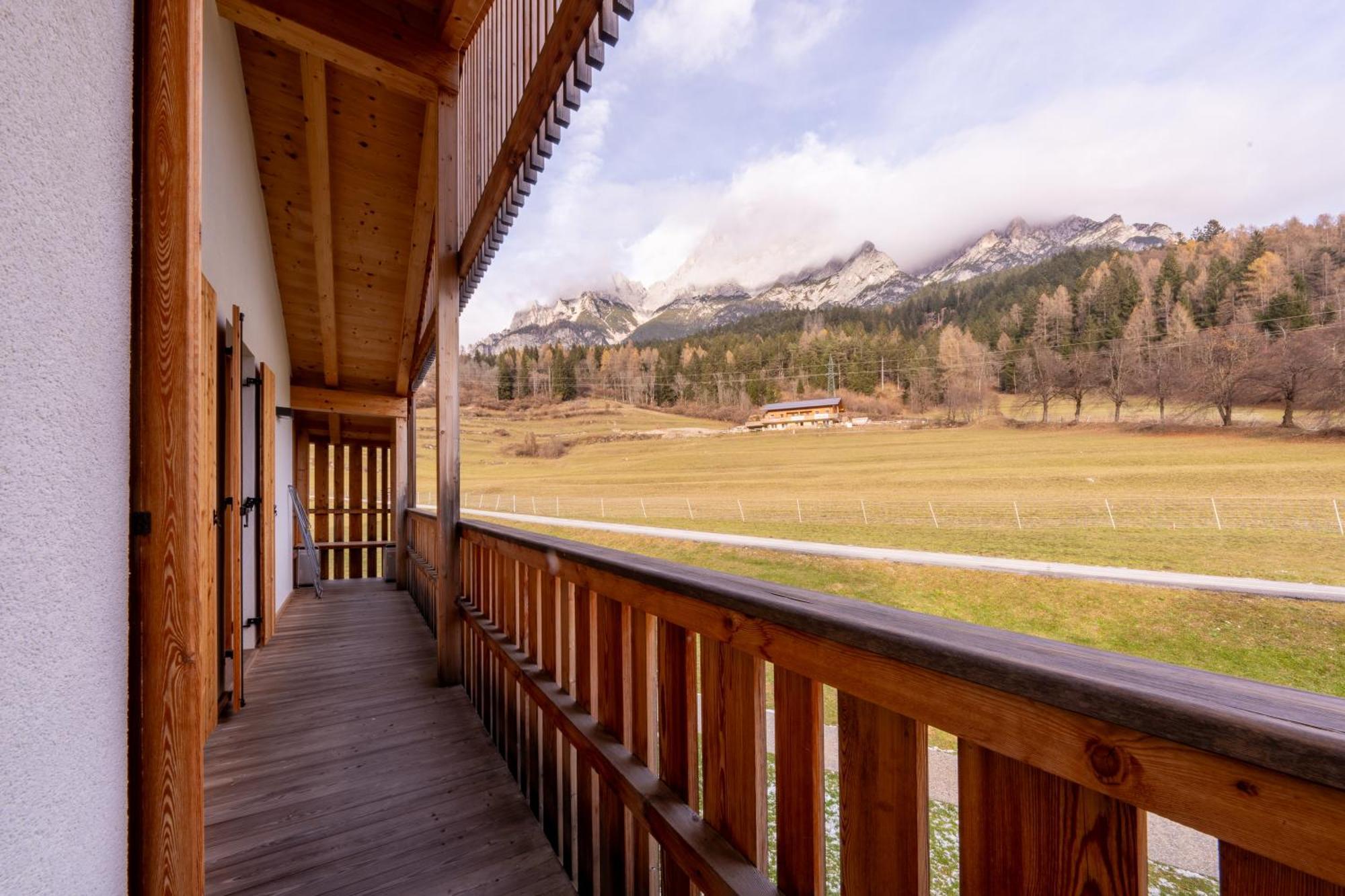 Greenwood Chalet - Spacious Alpine Retreat With Mountain Views Vodo Cadore Extérieur photo